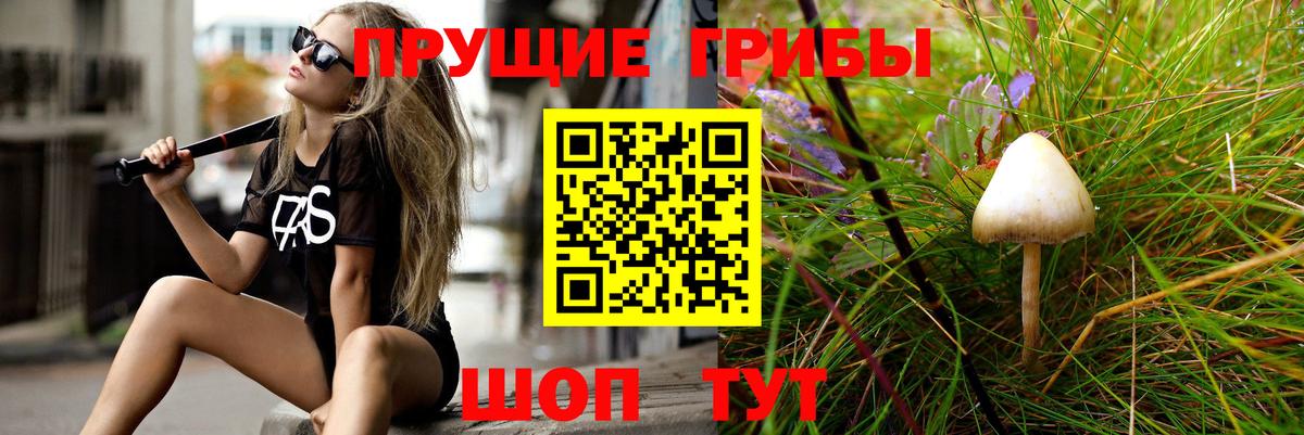 Галлюциногенные грибы мицелий Качканар