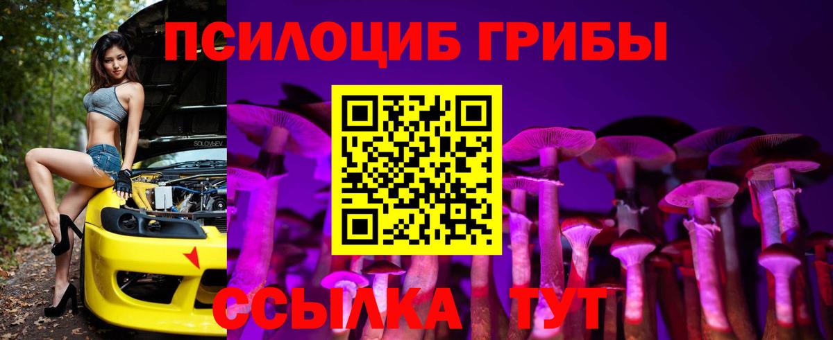 Качканар  Псилоцибиновые грибы ЛСД  Вход с VPN 